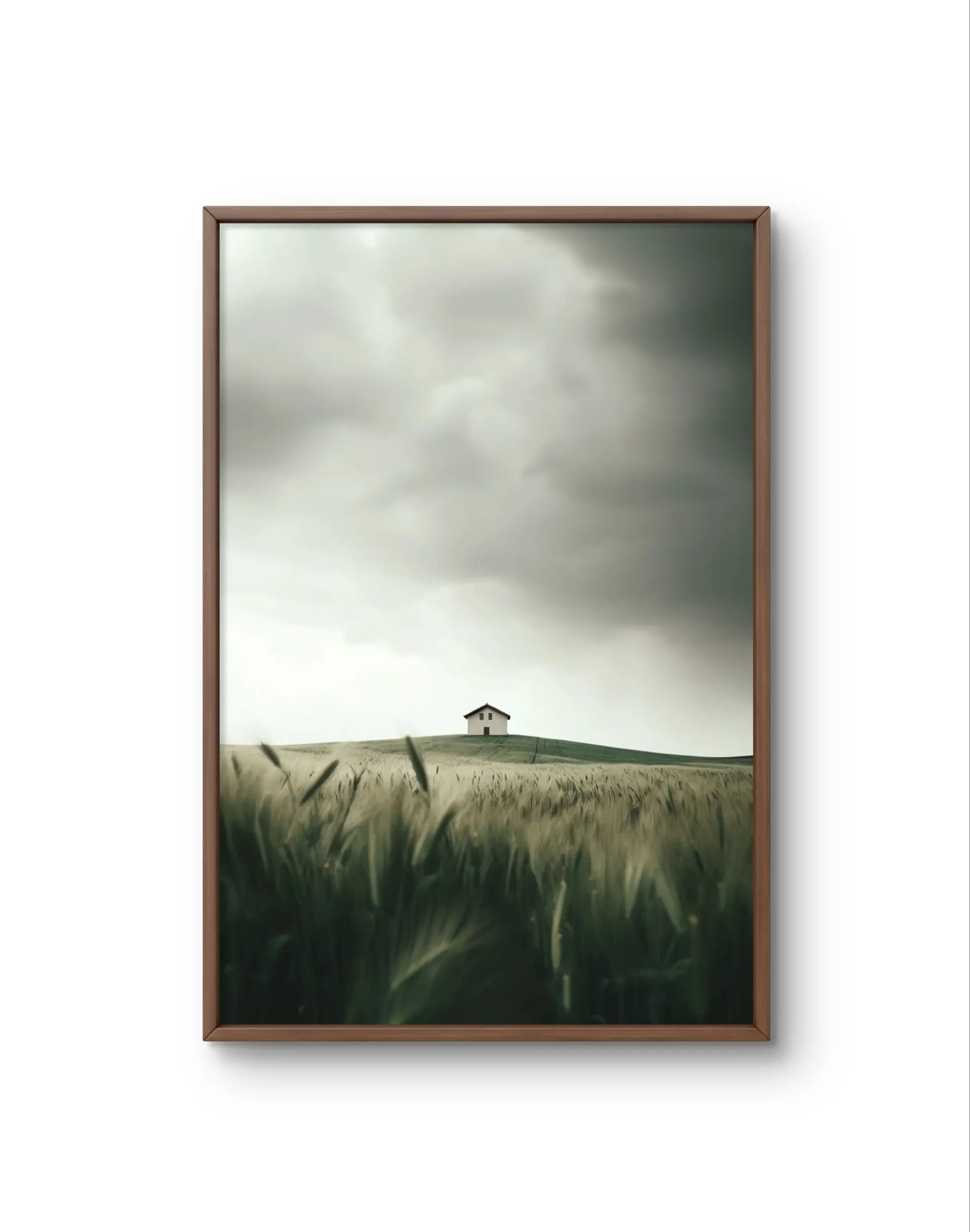 Bellucci - Solitude on the Hill — Fotografía fina lámina artística por Bellucci