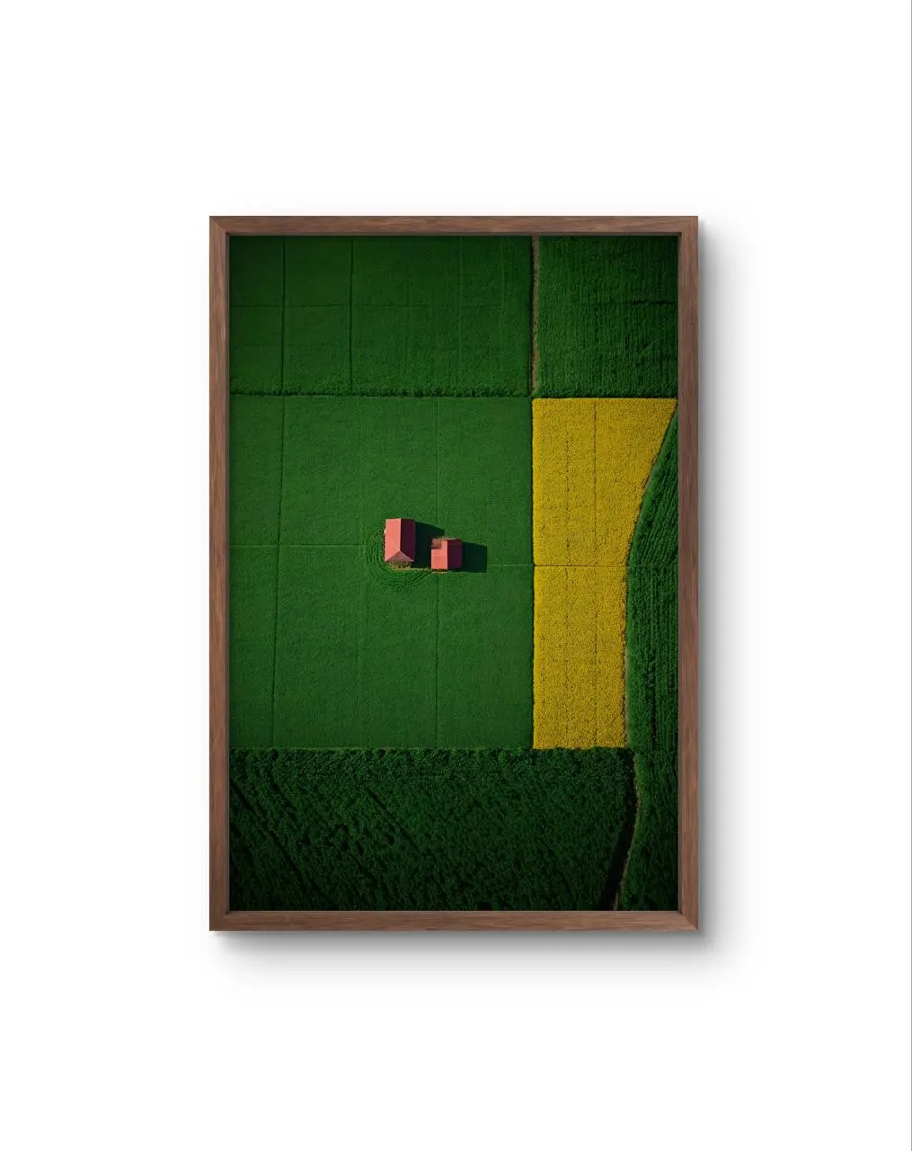Bellucci - The Red Houses in a Sea of Green — Fotografía fina lámina artística por Bellucci