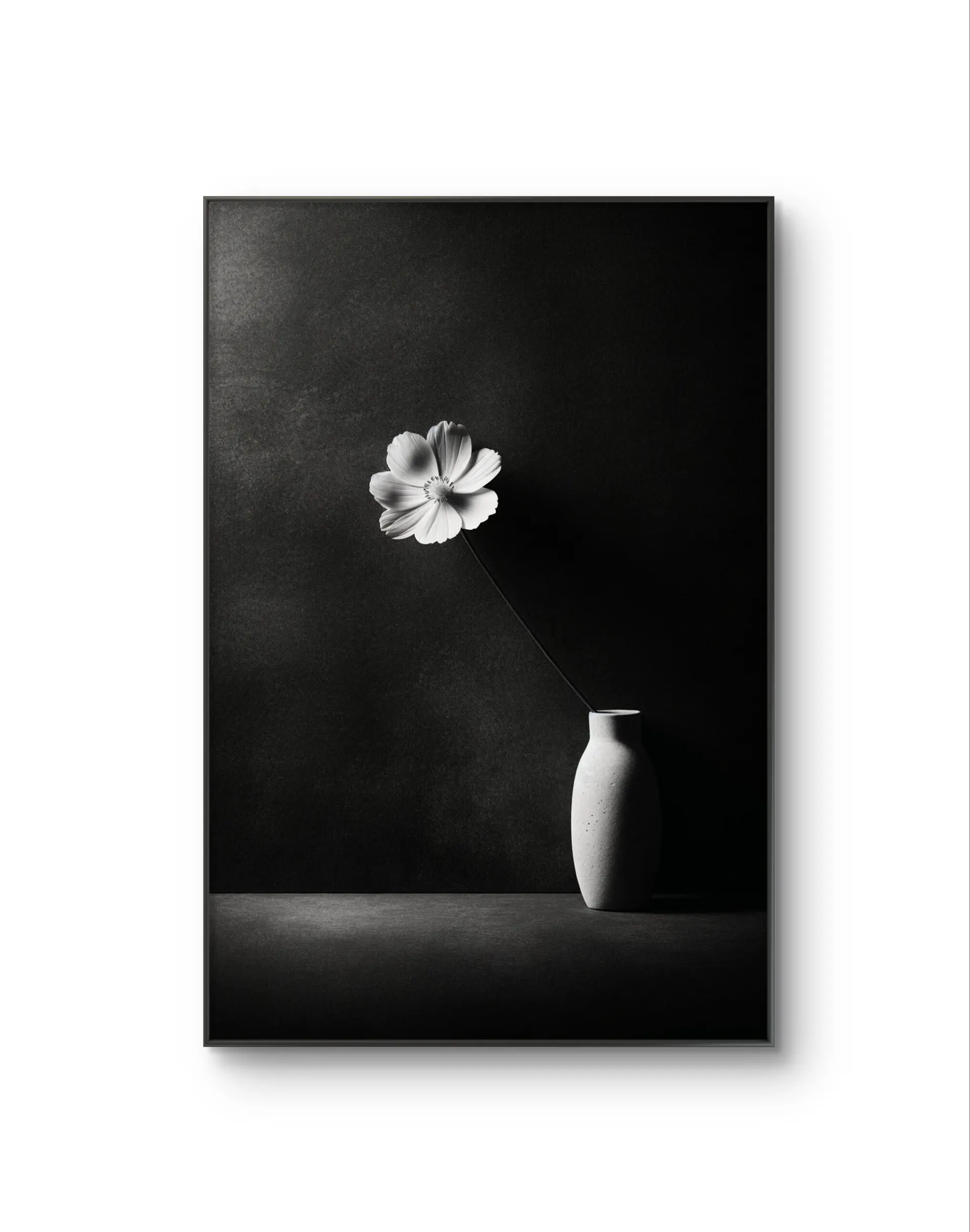 Bonaque - Elegance in Simplicity — Fotografía fina lámina artística por Bonaque