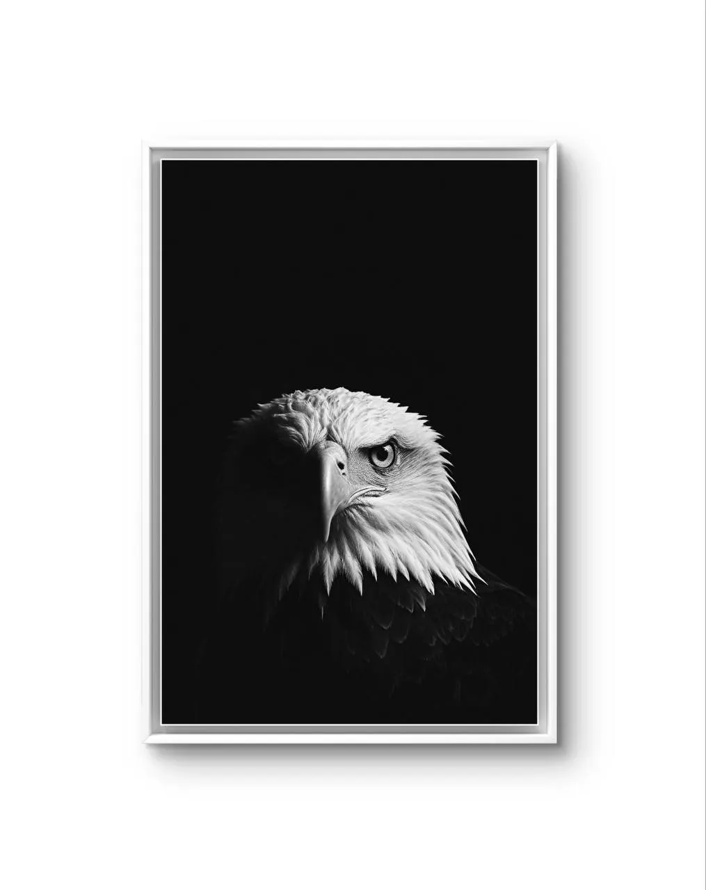 Bonaque - Majestic Sentinel — Fotografía fina lámina artística por Bonaque