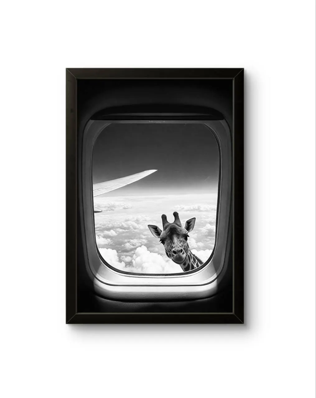 Bonaque - Skybound Curiosity — Fotografía fina lámina artística por Bonaque