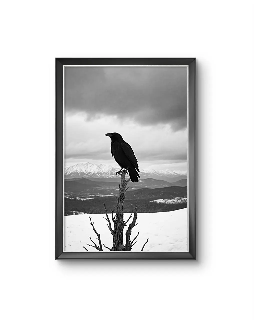 Bonaque - The Watchful Raven — Fotografía fina lámina artística por Bonaque