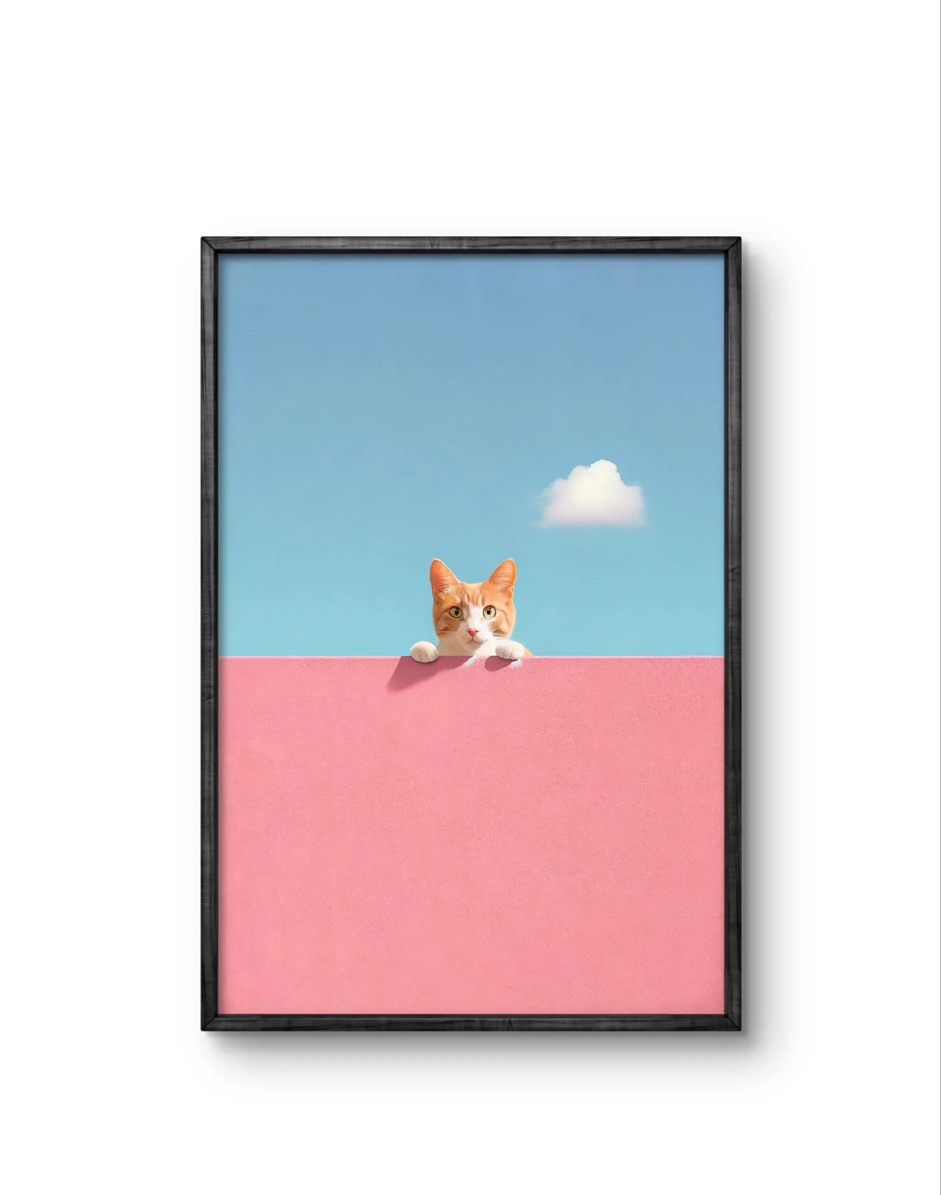 Lumivista - Curious Whiskers — Fotografía fina lámina artística por Lumivista