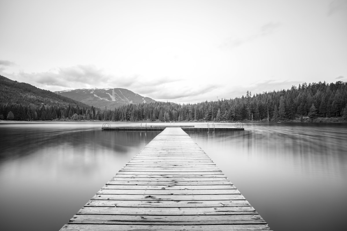 Blanco y negro